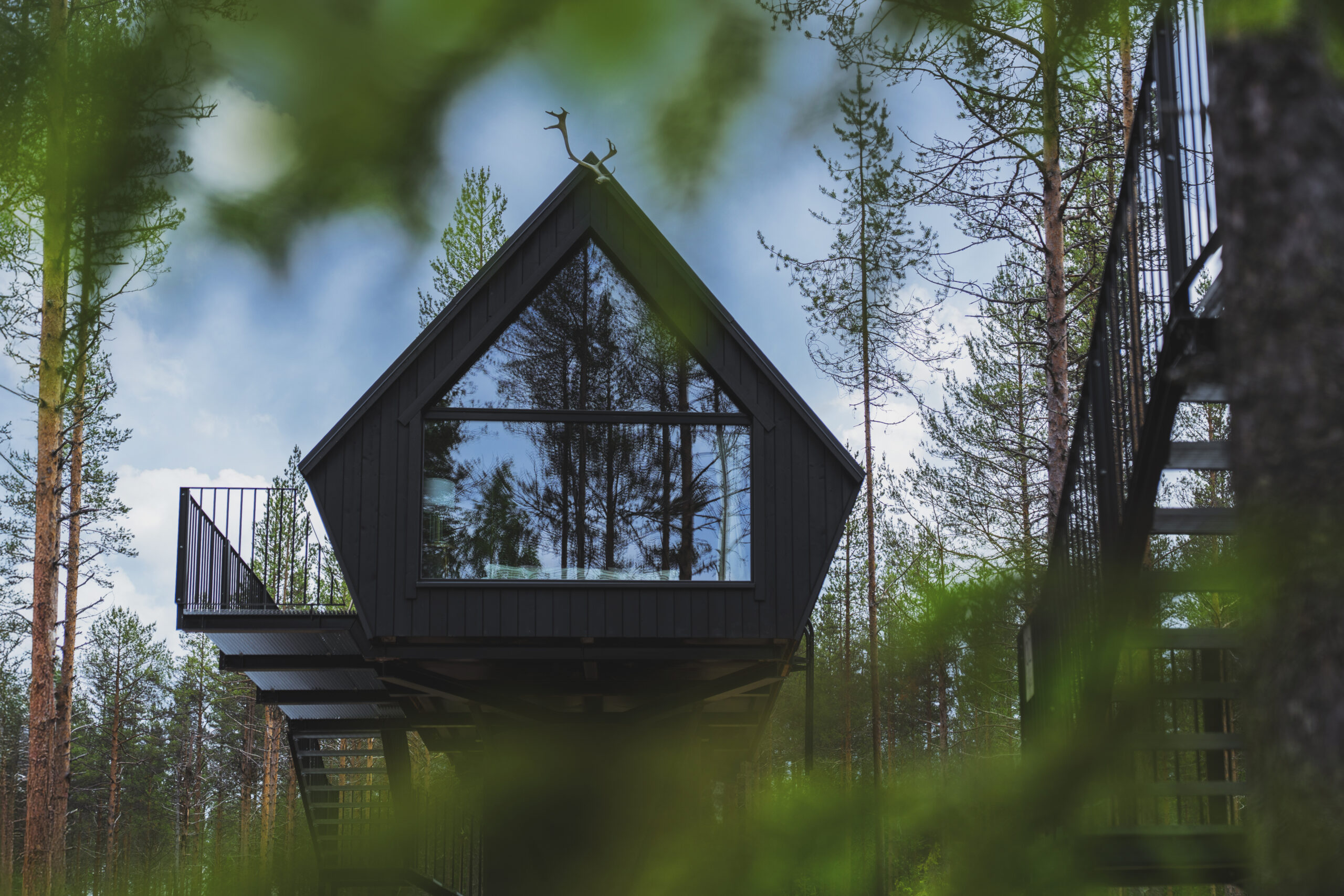 Aurora-Treehouse-Tree-CloseUp_ROOM_SUMMER_AR-MuhammadG_2025-06-30_6
